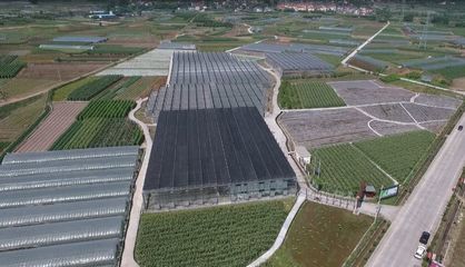 秀山丽水展新颜 莲都区合力创建农业综合开发现代农业园区